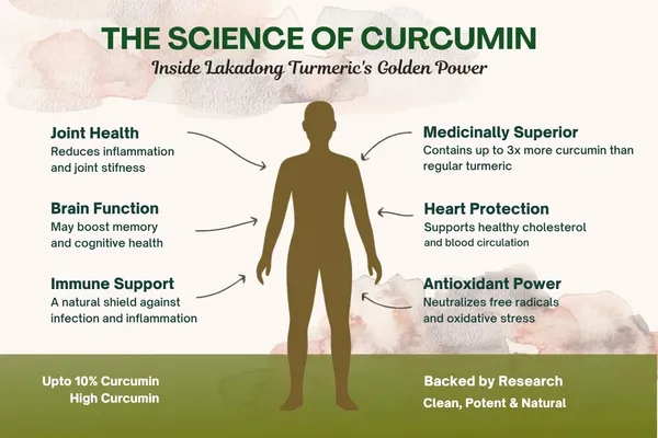 Lakadong_Turmeric_Powder_Single-Origin_From_Legendary_Farmer_Trinity_Saioo_Of_Meghalaya_High_Curcumin_Immunity_Boost_Pure,_Natural,_Unblended_Haldi_For_Health,_Cooking_&_Skin_130G