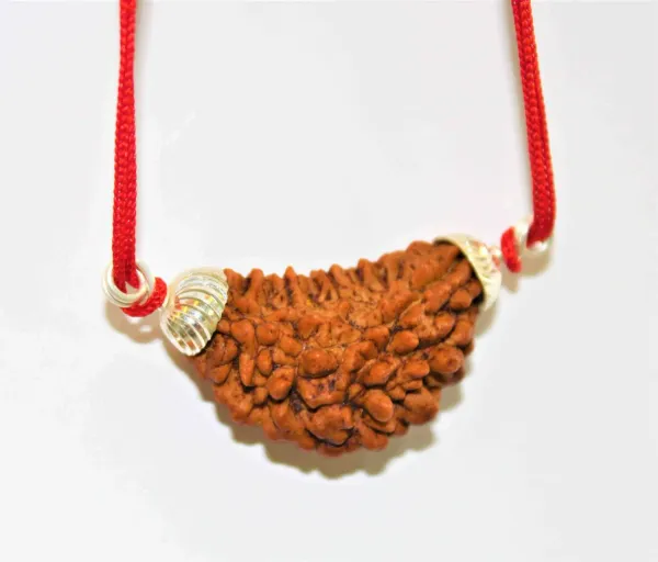 1_mukhi_Rudrakch_(Kaju_Dana)_silver_pendent