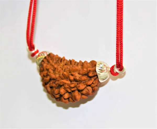 1_mukhi_Rudrakch_(Kaju_Dana)_silver_pendent