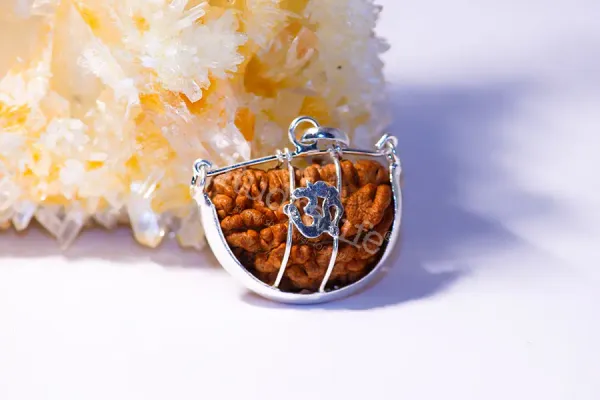 1_mukhi_Rudrakch_(Kaju_Dana)_silver_pendent