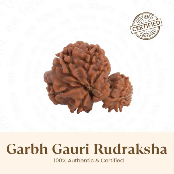 Garbh_Gauri_Rudrakch_(_Nepali_)