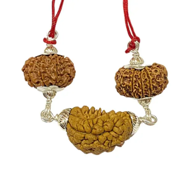 Narayan_Rudraksha_Kawach_nepali_Rudraksha_Combination