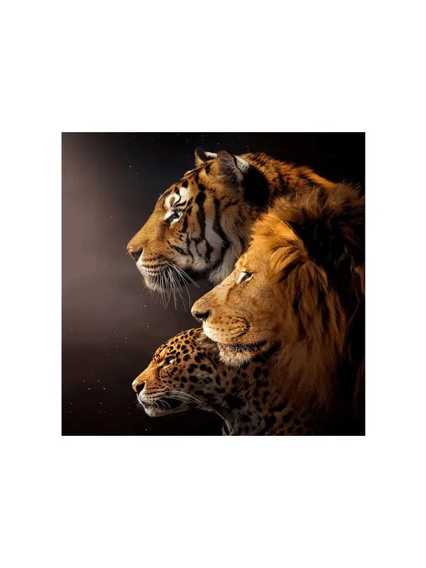 Big_Cats_Trio_Canvas-Wrapped_Painting_24x24_-_Animal_Lovers_Wall_Art(FLP24X240336)