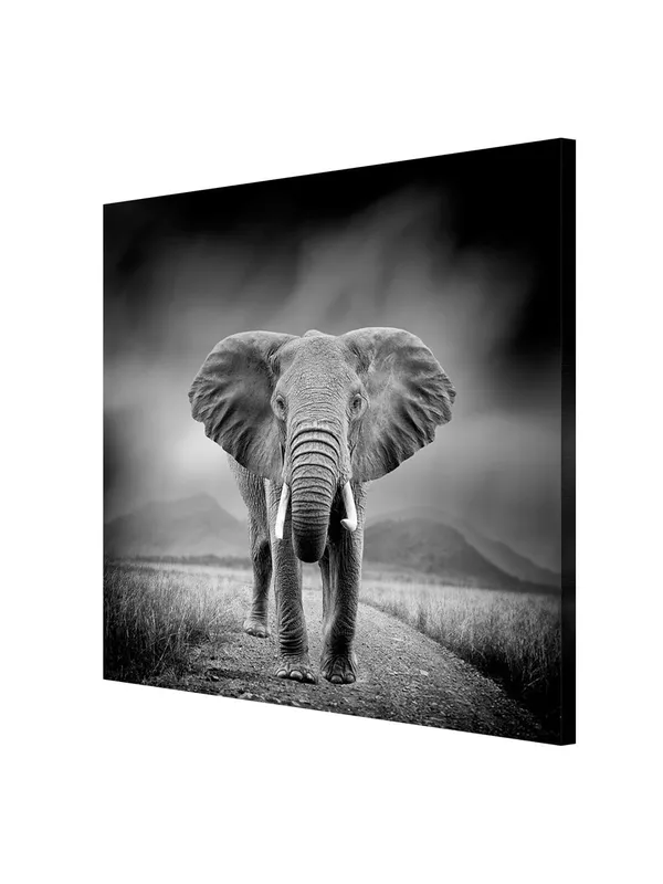 Majestic_Elephant_Canvas-Wrapped_Painting_24X24_-_Black_and_White_Safari_Scene(FLP24X240350)