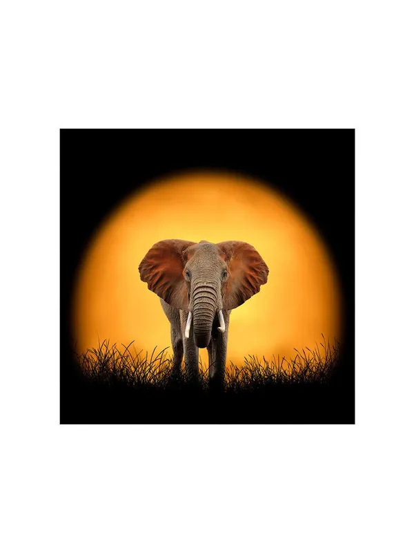 Sunset_Elephant_Canvas-Wrapped_Painting_36X36_-_Wildlife_Silhouette_at_Dusk(FLP36X360351)
