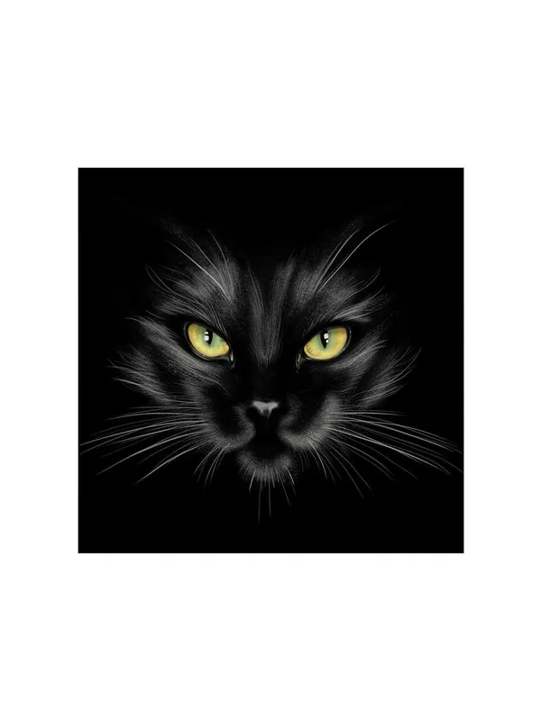 Mysterious_Black_Cat_Canvas-Wrapped_Painting_24X24_-_Enigmatic_Feline_Eyes(FLP24X240349)