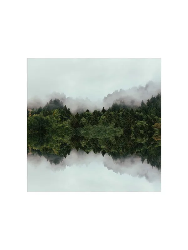 Misty_Forest_Reflection_Canvas-Wrapped_Painting,_36X36_A_Tranquil_Escape_for_Any_Room(FLP36X360321)