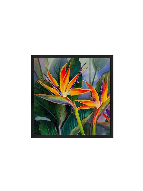 Box_Fiber_Frame_Vibrant_Bird_of_Paradise_Flower_Art_Print_-_Exotic_Tropical_Botanical_Painting_with_Bright_Orange_and_Yellow_Blooms_(BLF36X360154)