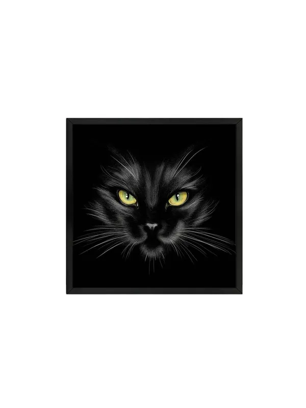Box_Fiber_Frame_Mysterious_Black_Cat_Canvas-Wrapped_Painting_24X24_-_Enigmatic_Feline_Eyes_(BLF24X240349)