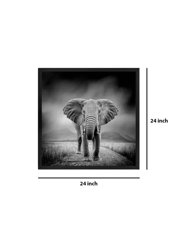 Box_Fiber_Frame_Majestic_Elephant_Canvas-Wrapped_Painting_24X24_-_Black_and_White_Safari_Scene_(BLF24X240350)