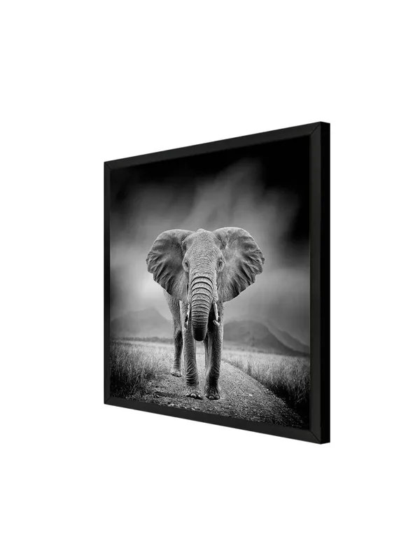 Box_Fiber_Frame_Majestic_Elephant_Canvas-Wrapped_Painting_24X24_-_Black_and_White_Safari_Scene_(BLF24X240350)