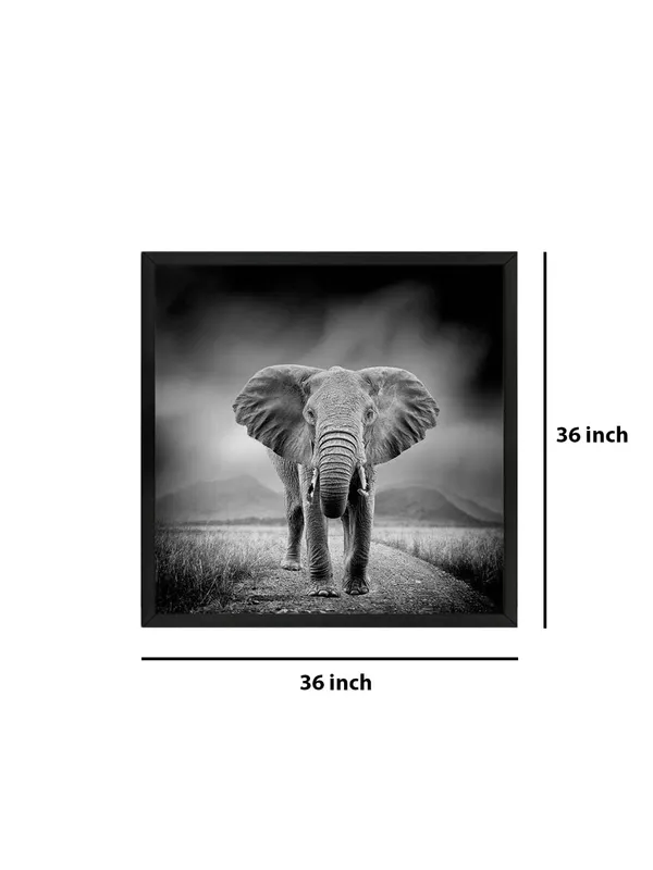 Box_Fiber_Frame_Majestic_Elephant_Canvas-Wrapped_Painting_36X36_-_Black_and_White_Safari_Scene_(BLF36X360350)