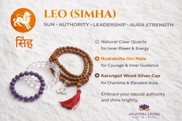 LEO_(Simha)_—_Sun_Combo