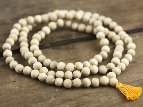 Brown_Trendy_Stone_Tulasi_Mala_For_Men,Women_And_Kids