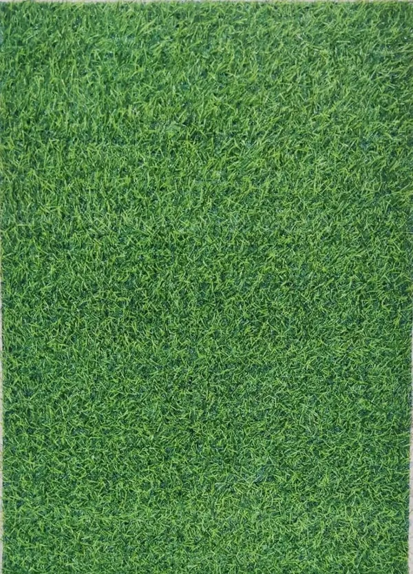 Pack_of_2_Big_Green_Artificial_Realistic_Looking_Grass_Rug_For_Indoor_And_Outdoor_Use_Soft_And_Durable_Carpet_For_Patio_Balcony_Entryway_Doormat_Garden_Or_Home_Decor_(70*45_Cm)
