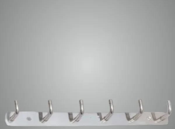COSSIMO_Silver_Lite_Hanger_Stainless_Steel_6_Pin_Cloth_Hanger_Wall_Mounted_(Set_Of_2)