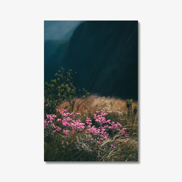Blush_In_The_Breeze_Wall_Art_20_X_30_Inches_Canvas_Print_Landscape_Nature_Photography_On_Wooden_Frame