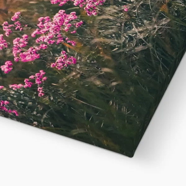 Blush_In_The_Breeze_Wall_Art_20_X_30_Inches_Canvas_Print_Landscape_Nature_Photography_On_Wooden_Frame