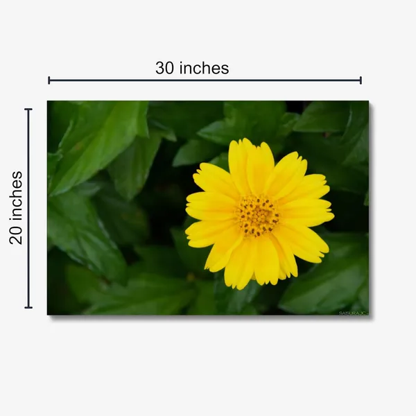 The_Yellow_Muse_Wall_Art_20_X_30_Inches_Canvas_Print_Landscape_Nature_Photography_On_Wooden_Frame
