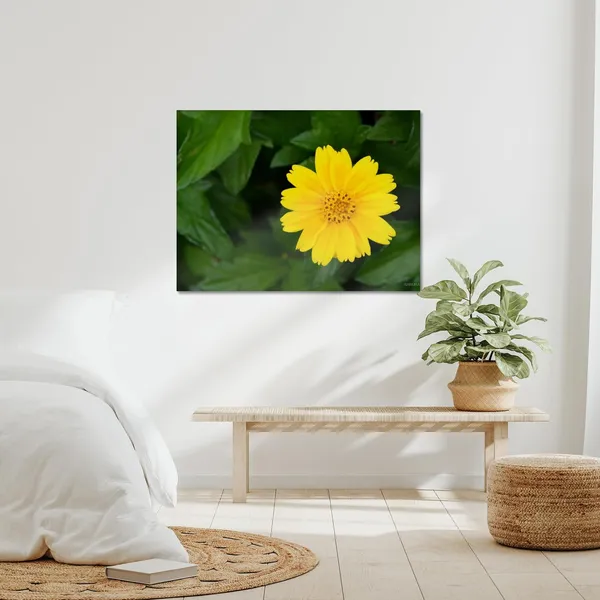 The_Yellow_Muse_Wall_Art_20_X_30_Inches_Canvas_Print_Landscape_Nature_Photography_On_Wooden_Frame