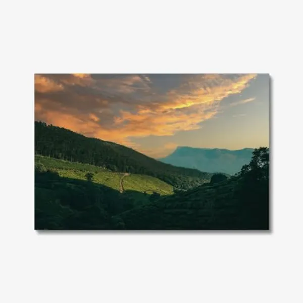 Twilight_Tea_Trails_Wall_Art_20_X_30_Inches_Canvas_Print_Landscape_Nature_Photography_On_Wooden_Frame