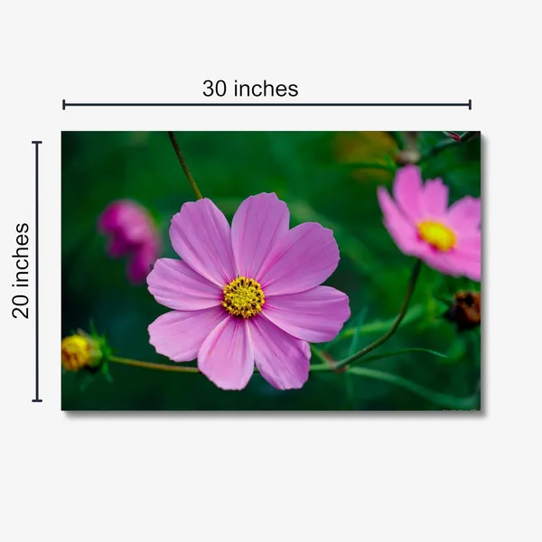 Whispers_Of_Pink_Wall_Art_20_X_30_Inches_Canvas_Print_Landscape_Nature_Photography_On_Wooden_Frame