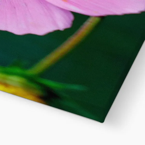 Whispers_Of_Pink_Wall_Art_20_X_30_Inches_Canvas_Print_Landscape_Nature_Photography_On_Wooden_Frame