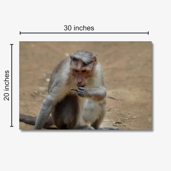 Zero_Bananas_Given_Wall_Art_20_X_30_Inches_Canvas_Print_Landscape_Nature_Photography_On_Wooden_Frame