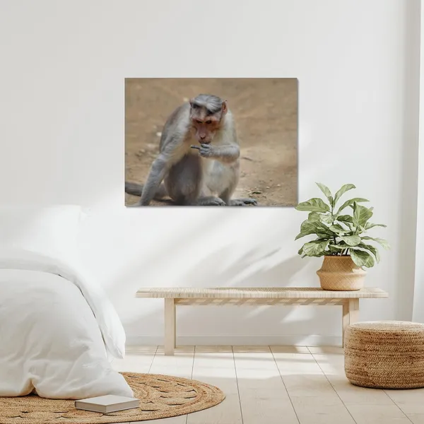 Zero_Bananas_Given_Wall_Art_20_X_30_Inches_Canvas_Print_Landscape_Nature_Photography_On_Wooden_Frame