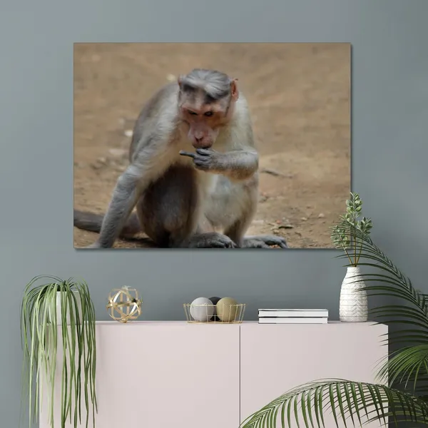 Zero_Bananas_Given_Wall_Art_20_X_30_Inches_Canvas_Print_Landscape_Nature_Photography_On_Wooden_Frame