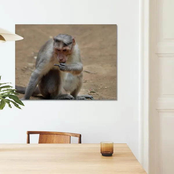 Zero_Bananas_Given_Wall_Art_20_X_30_Inches_Canvas_Print_Landscape_Nature_Photography_On_Wooden_Frame