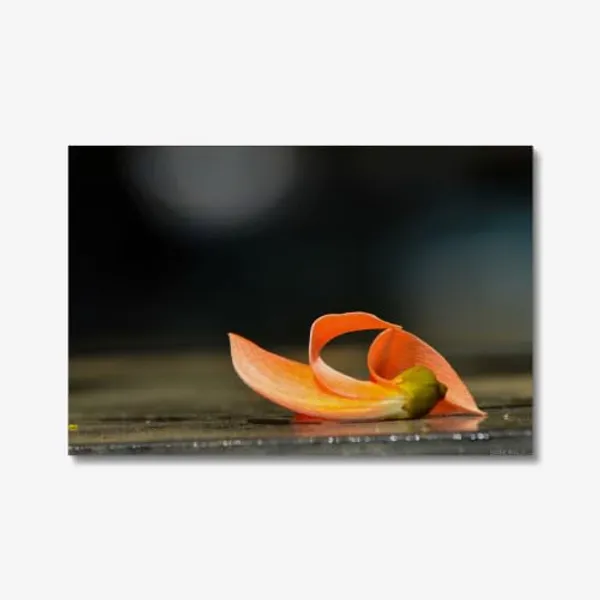 Beauty_After_Fall_Wall_Art_20_X_30_Inches_Canvas_Print_Landscape_Nature_Photography_On_Wooden_Frame