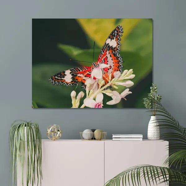 Butterfly_Dreams_Wall_Art_20_X_30_Inches_Canvas_Print_Landscape_Nature_Photography_On_Wooden_Frame
