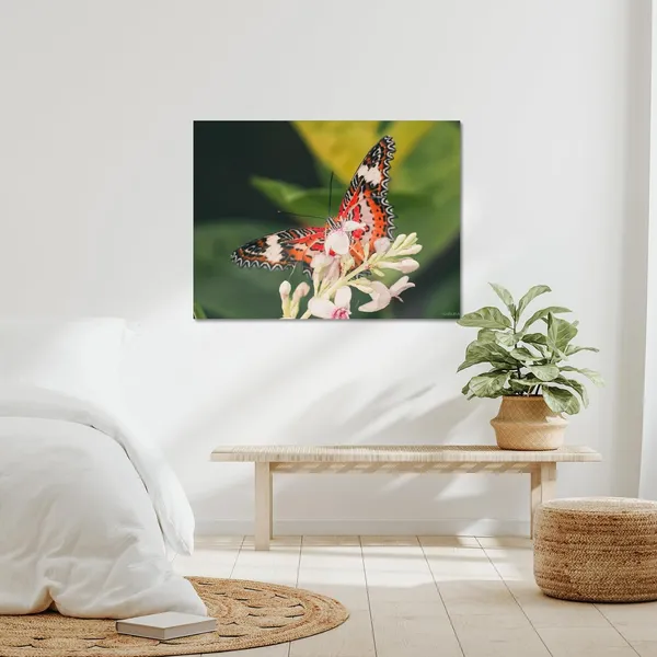 Butterfly_Dreams_Wall_Art_20_X_30_Inches_Canvas_Print_Landscape_Nature_Photography_On_Wooden_Frame