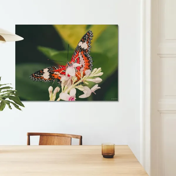Butterfly_Dreams_Wall_Art_20_X_30_Inches_Canvas_Print_Landscape_Nature_Photography_On_Wooden_Frame