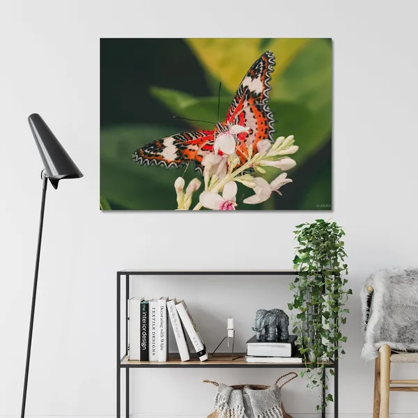 Butterfly_Dreams_Wall_Art_20_X_30_Inches_Canvas_Print_Landscape_Nature_Photography_On_Wooden_Frame