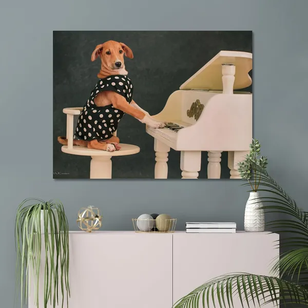 Classy_Canine_Concert_Wall_Art_20_X_30_Inches_Canvas_Print_Landscape_Nature_Photography_On_Wooden_Frame