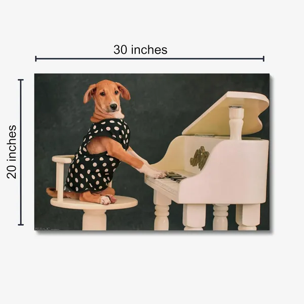 Classy_Canine_Concert_Wall_Art_20_X_30_Inches_Canvas_Print_Landscape_Nature_Photography_On_Wooden_Frame