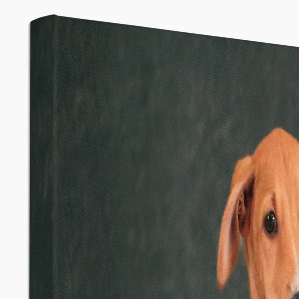 Classy_Canine_Concert_Wall_Art_20_X_30_Inches_Canvas_Print_Landscape_Nature_Photography_On_Wooden_Frame