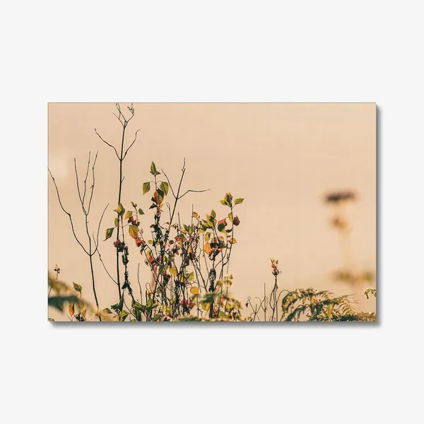 End_Of_The_Bloom_Wall_Art_20_X_30_Inches_Canvas_Print_Landscape_Nature_Photography_On_Wooden_Frame