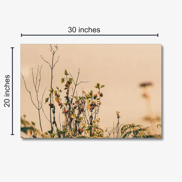 End_Of_The_Bloom_Wall_Art_20_X_30_Inches_Canvas_Print_Landscape_Nature_Photography_On_Wooden_Frame