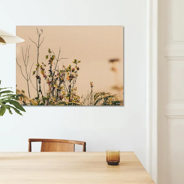 End_Of_The_Bloom_Wall_Art_20_X_30_Inches_Canvas_Print_Landscape_Nature_Photography_On_Wooden_Frame