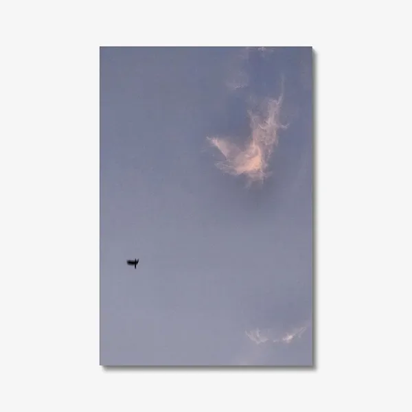 Solitary_Flight_Wall_Art_20_X_30_Inches_Canvas_Print_Landscape_Nature_Photography_On_Wooden_Frame