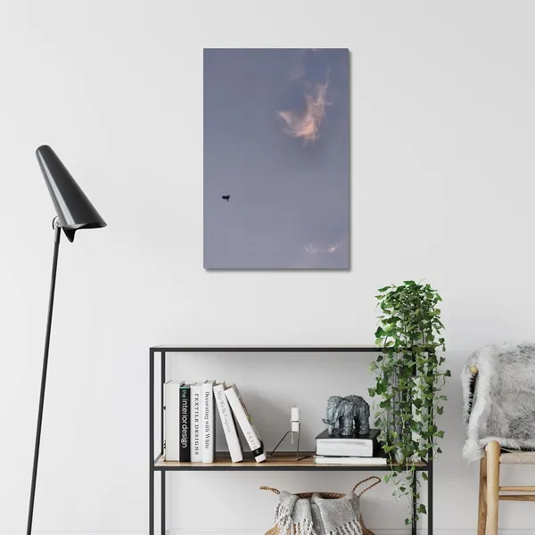 Solitary_Flight_Wall_Art_20_X_30_Inches_Canvas_Print_Landscape_Nature_Photography_On_Wooden_Frame