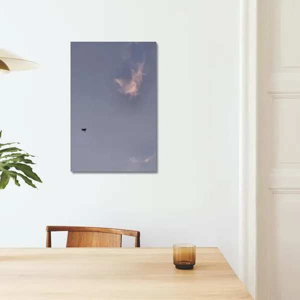 Solitary_Flight_Wall_Art_20_X_30_Inches_Canvas_Print_Landscape_Nature_Photography_On_Wooden_Frame