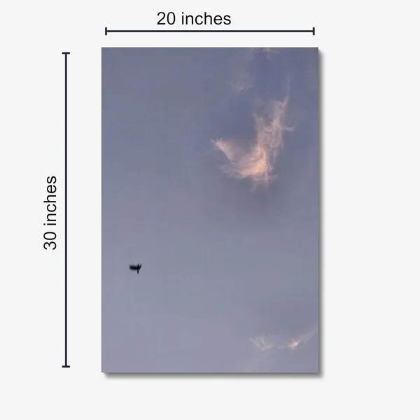 Solitary_Flight_Wall_Art_20_X_30_Inches_Canvas_Print_Landscape_Nature_Photography_On_Wooden_Frame