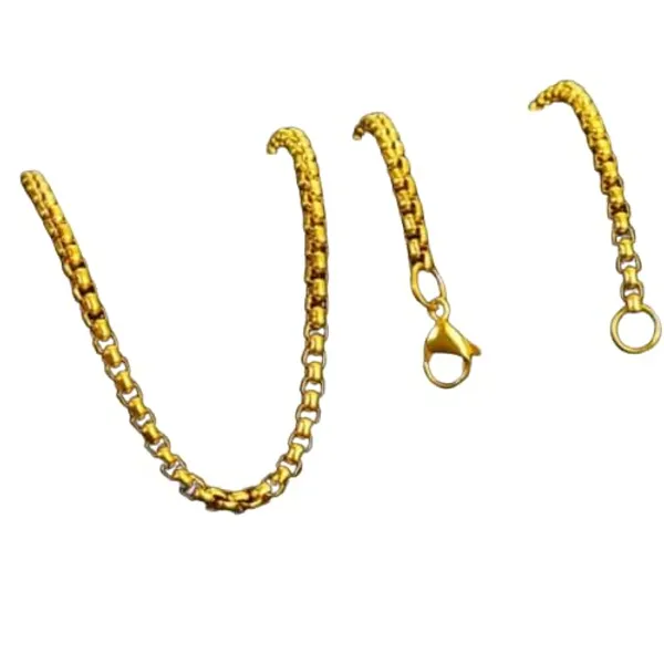 Sai_Amrut_Sai_Baba_Gold_Pendent_and_Chain_with_2_year_color_Guarantee_(Rectangle_Sai_Printed)