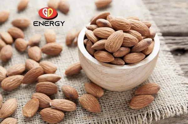 Premium_California_Almonds_(1_X_500_G)