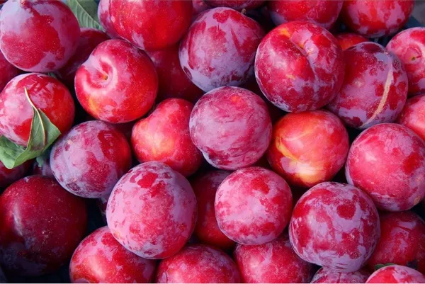 Premium_Plum_Chutney_For_Everyone