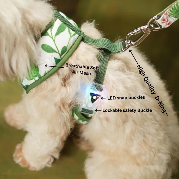 White_High_Safety_Dog_Belt_For_Large_Dogs